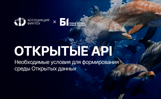 Открытые API. Необходимые условия для формирования среды Открытых API